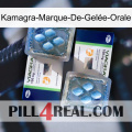 Kamagra-Marque-De-Gelée-Orale viagra5